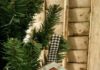 Its Beginning to Look a lot Like Christmas!