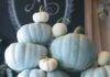 Tips to Transition into Fall Gracefully