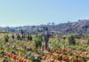 It’s Finally Fall Y’all!