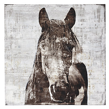 winter-stallion-750397163