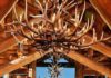 5 Faux Antler Chandeliers with Rustic Charm